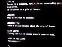 Friends discovered the fully functional Zork Easter egg in 'Call of Duty: Black Ops' and we had fun with it.