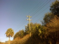 Power lines along the Seaboard Coast CSX Railroad line in downtown Tallahassee.