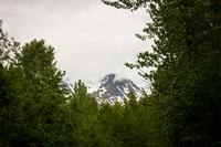 A snowy and cloudy mountaintop visible through the forest along the Glacier View Trail.