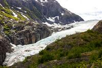 Exit Glacier from the Edge of the Glacier Trail.