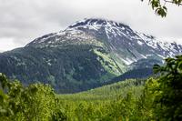 Snow and trees on a cloudy mountainside from a clearing in the cottonwood forest along the Edge of the Glacier Trail.
