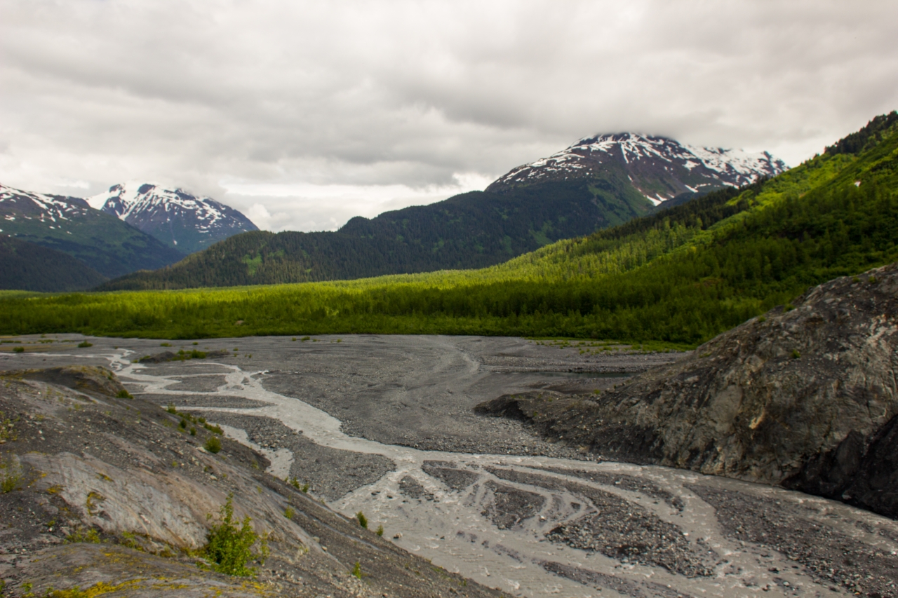 Outwash plain, forests and mountains east of Exit Glacier from a lookout on the Edge of the Glacier Trail.
