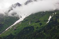 Snow and trees on a cloudy mountainside in the valley along the braided Resurrection River not far from Exit Glacier.