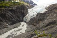 Meltwater flowing from the base of Exit Glacier to the outwash plain from a lookout on the Edge of the Glacier Trail.