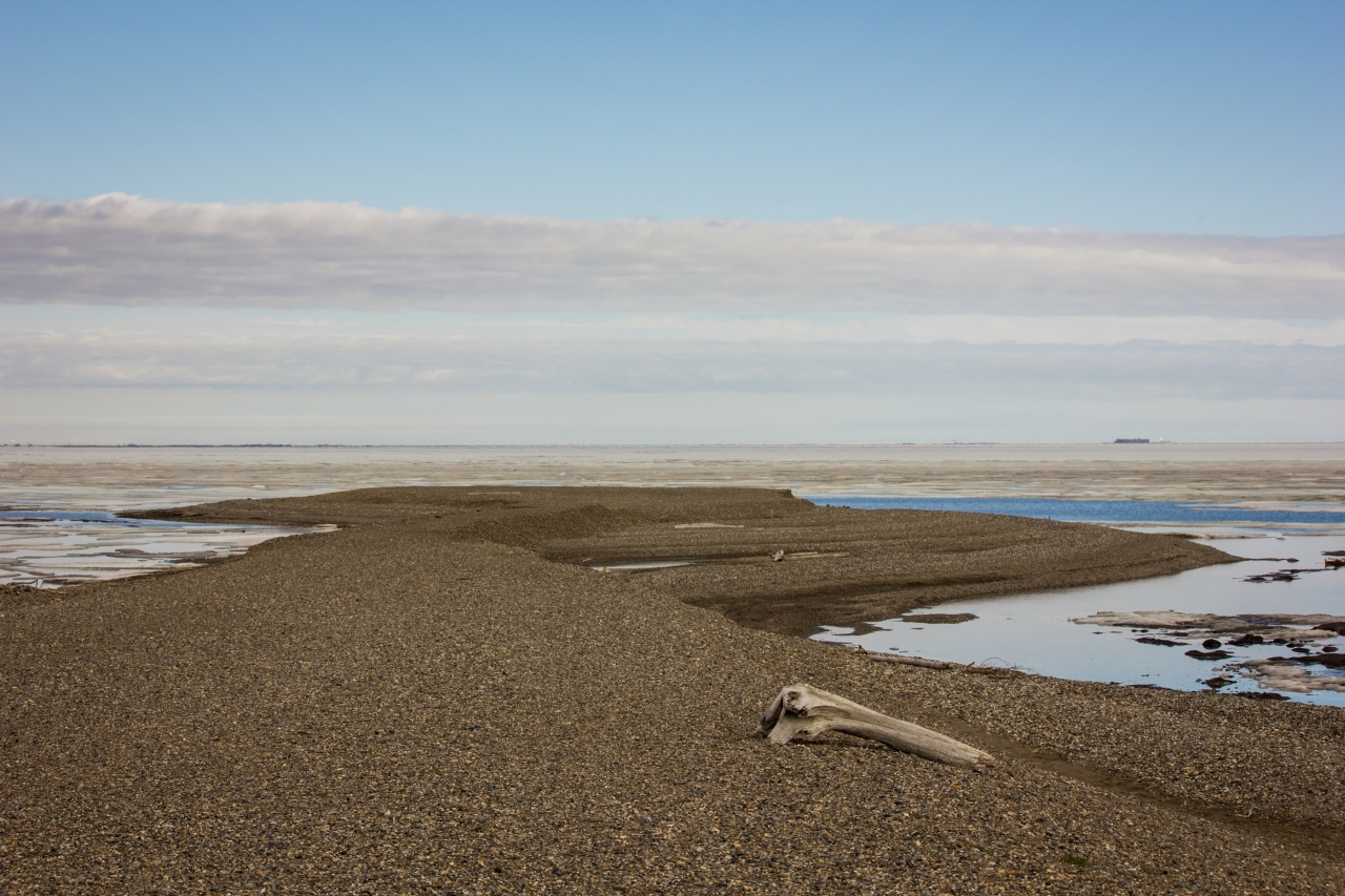 A piece of driftwood rests on the smooth rocks that comprise the East Dock Road spit jutting northwest into the icy waters of Prudhoe Bay and the Beaufort Sea at the Prudhoe Bay Oil Field.