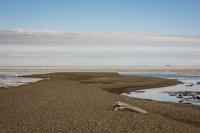 A piece of driftwood rests on the smooth rocks that comprise the East Dock Road spit jutting northwest into the icy waters of Prudhoe Bay and the Beaufort Sea at the Prudhoe Bay Oil Field.