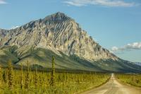 Dillon Mountain (4820 feet), spruce trees and the Trans-Alaska Pipeline (1977) along the Dalton Highway (AK 11) southbound.