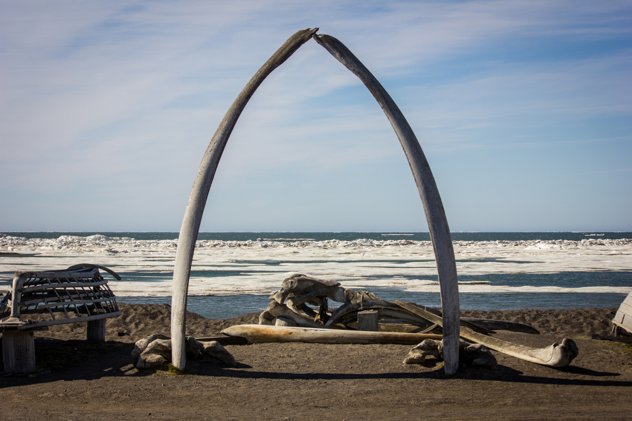The Utqiaġvik bowhead whale (Balaena mysticetus) jaw bone arch along with other whale bones and the wooden frame of an umiak, an Iñupiat seal skin whaling boat, along the shore of the icy Chukchi Sea, Arctic Ocean.