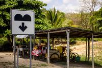 Speed bump sign and a roadside stand selling pineapple and juice in Pedro Antonio Santos Hamlet, Quintana Roo, Mexico.