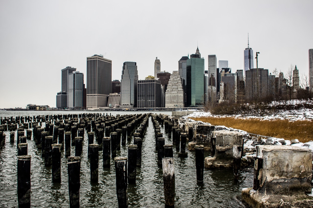 Manhattan's Financial District, centenarian wood pylons in the East River and smooth cordgrass (Spartina alterniflora) from west of the Brooklyn Bridge Park (2010) Pier 1 boat ramp.