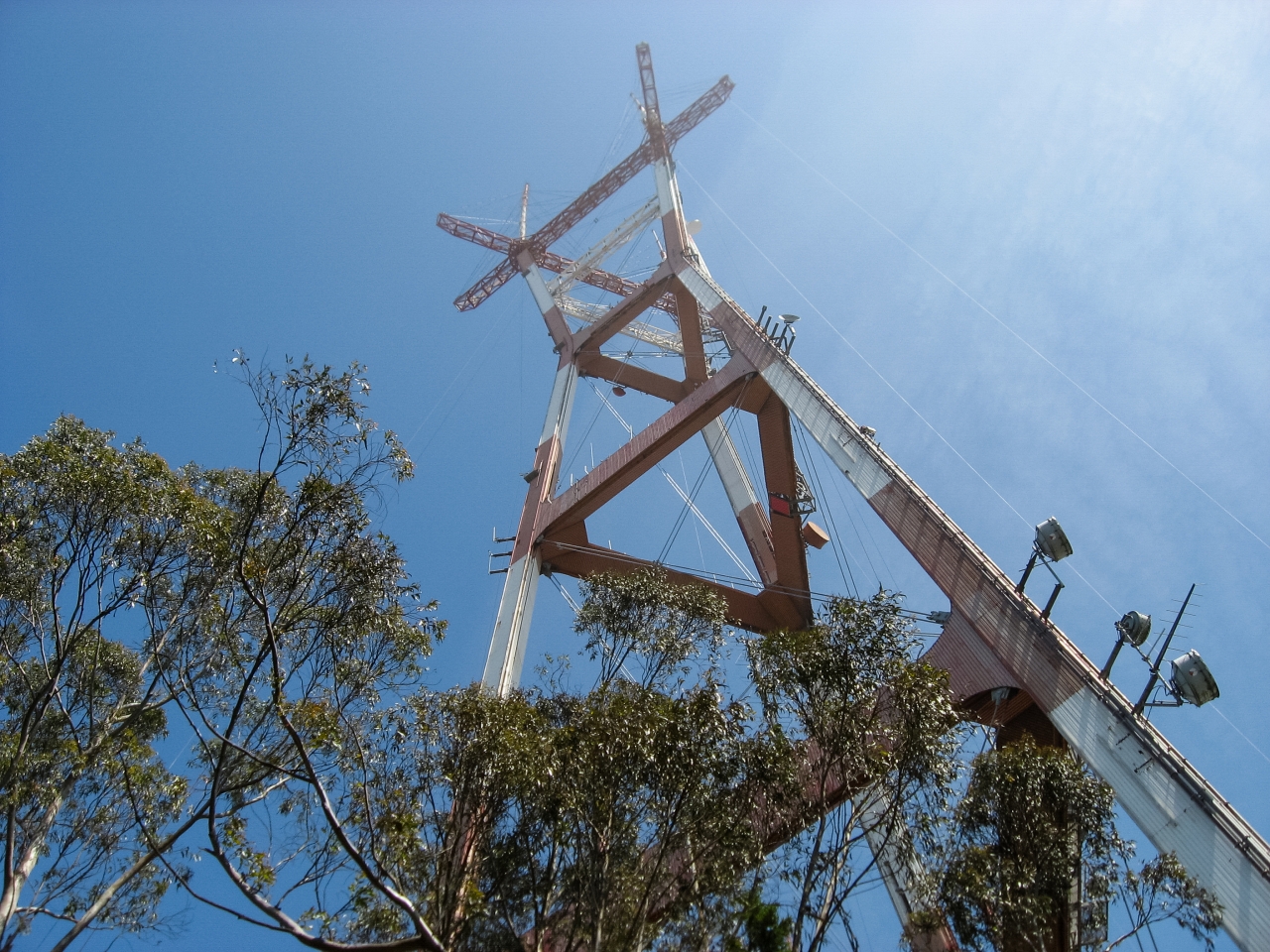 Looking up Sutro Tower from the grounds.