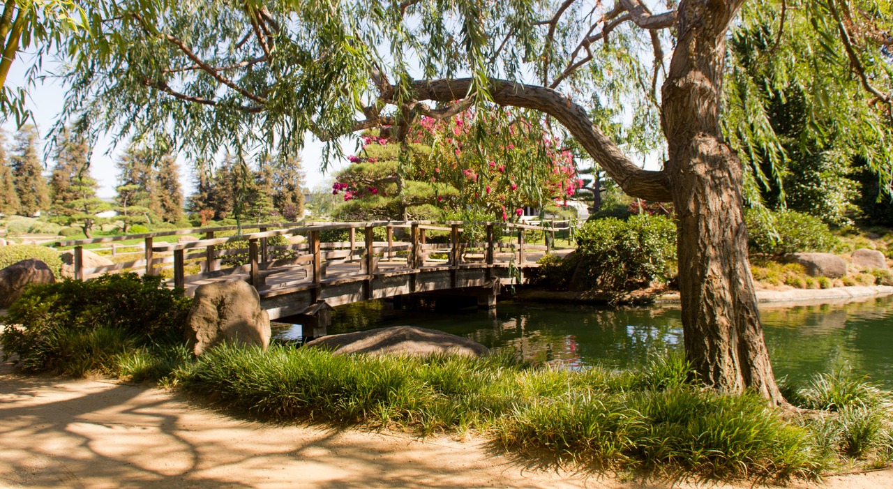 A weeping willow (Salix babylonica) and the transition bridge in The Japanese Garden at the Donald C. Tillman Water Reclamation Plant (1984).