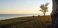 Benches and trees along the shore of Choctawhatchee Bay at Choctaw Beach next to Walton County Fire Rescue Station 10.