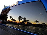 Reflection of the sunset and palm trees in the back window of Ross' 2009 Ford F-150 parked near The Lucky Snapper Grill & Bar.