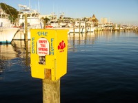 'Feed the Fish' food dispenser at HarborWalk Marina next to The Lucky Snapper Grill & Bar.