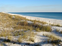The dunes and shoreline of Henderson Beach State Park from the Silver Shells Resort's eastern beach access boardwalk.