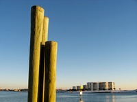 HarborWalk Marina wooden pier pillars next to The Lucky Snapper Grill & Bar.