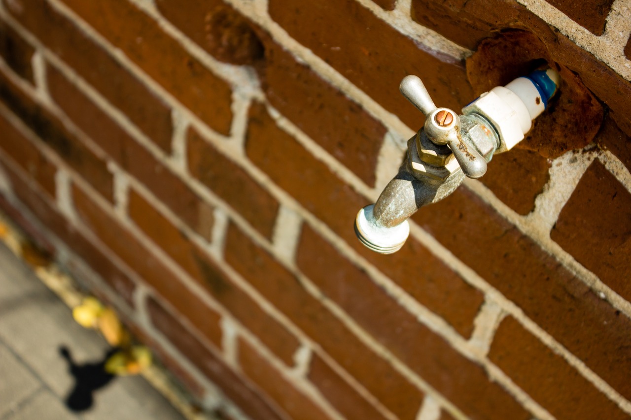 A water spigot and its shadow.