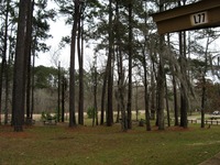 Wooded picnic area along the Chattahoochee River from building L77 at Parramore Landing Park.