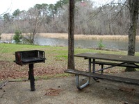 Wooded picnic area along the Chattahoochee River at Parramore Landing Park.
