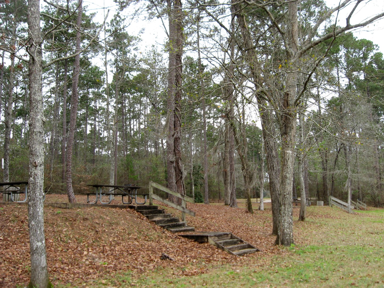 Wooded picnic areas along the Chattahoochee River at Parramore Landing Park.