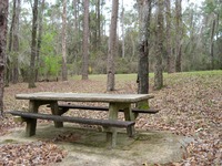 Picnic table in the woods of Buena Vista Park along the Chattahoochee River.