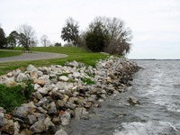 Rocks along the shore of man-made Lake Seminole near Jim Woodruff Dam (1957) where the Apalachicola, Chattahoochee and Flint Rivers meet.