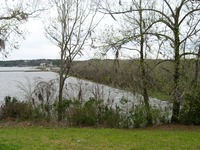 Southwestern perimeter of Jim Woodruff Dam (1957) and man-made Lake Seminole where the Apalachicola, Chattahoochee and Flint Rivers meet.