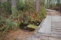 Wooden bridge over Gold Head Branch stream along the Loblolly Loop Trail at Mike Roess Gold Head Branch State Park.