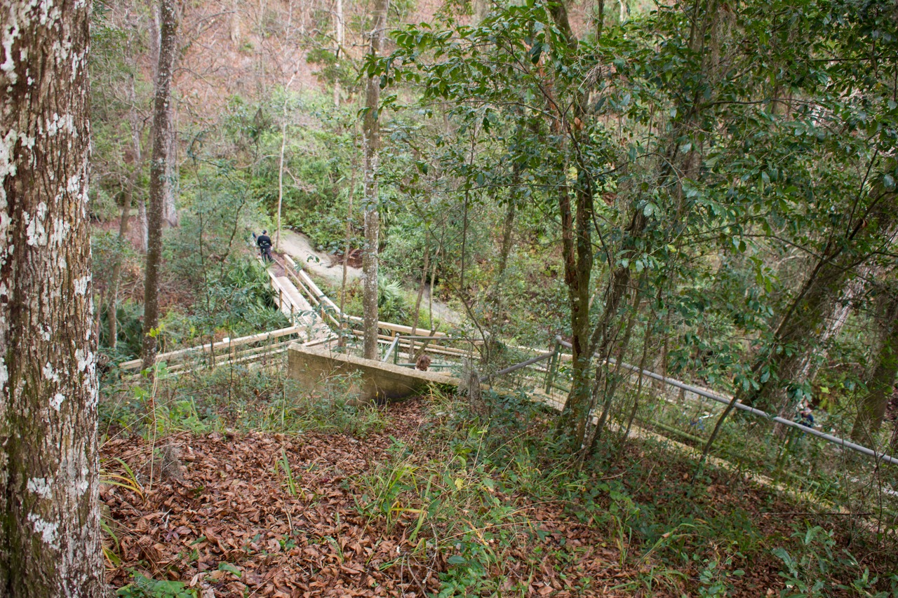 Ravine stairway (1950s) and Fern Loop Trail boardwalk in the steephead ravine at Mike Roess Gold Head Branch State Park.