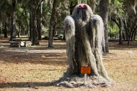 Moss Man sculpture made of Spanish moss (Tillandsia usneoides), chicken wire and two red safety reflectors on display near the picnic area at Mike Roess Gold Head Branch State Park.