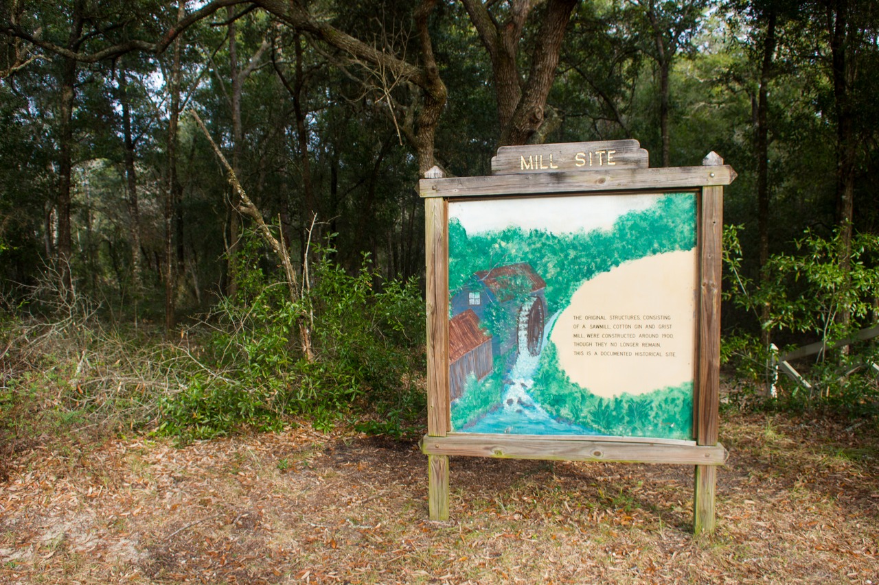 Mill site painting and sign at the head of the path leading to the Ravine Ridge Trail and Loblolly Loop Trail at Mike Roess Gold Head Branch State Park.