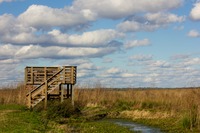 Wooden observation platform at the end of the Bolen Bluff Trail beyond which lies the vast plains of Paynes Prairie Preserve State Park.