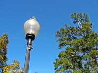 Lamp post in the parking lot at Pebble Hill Plantation.
