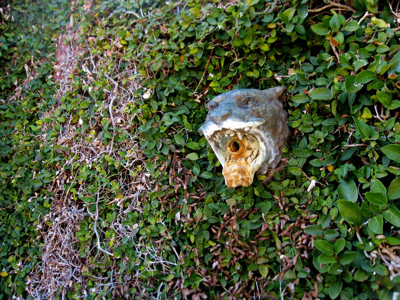 Animal head fountain on the fig vine covered walls of the Tennis Court at Pebble Hill Plantation.