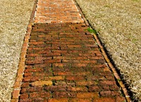 Brick pathway from the Overflow Cottage (1916/17) to the Kitchen Garden (1917) at Pebble Hill Plantation.