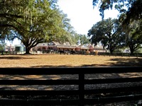 Stable Complex (1928) horse paddock at Pebble Hill Plantation.