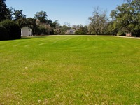 Looking west across the lawn of Carriage Circle at Pebble Hill Plantation.