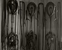 Horse harnesses hanging in a room in the Stable Complex (1928) at Pebble Hill Plantation.
