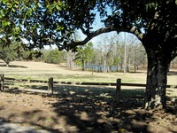 Pond at Pebble Hill Plantation.