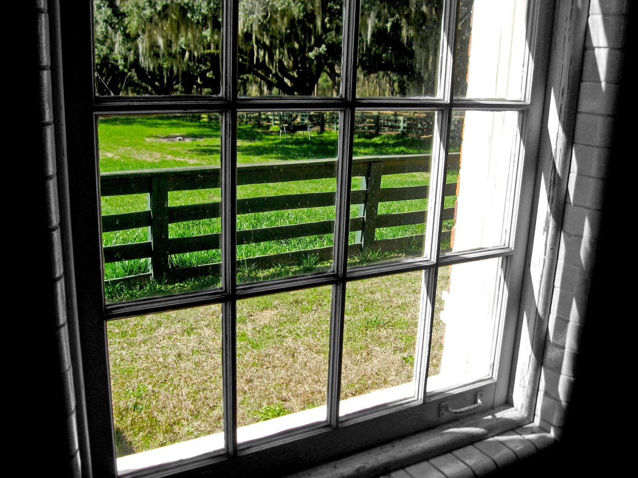 Horse paddock from inside the Stable Complex (1928) Carriage Room at Pebble Hill Plantation.