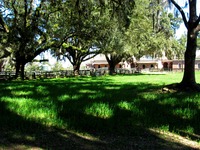 Grassy area between the road and Stable Complex (1928) at Pebble Hill Plantation.