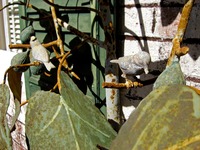 Metal decorative plant with birds on the front porch of the main house (1936) at Pebble Hill Plantation.