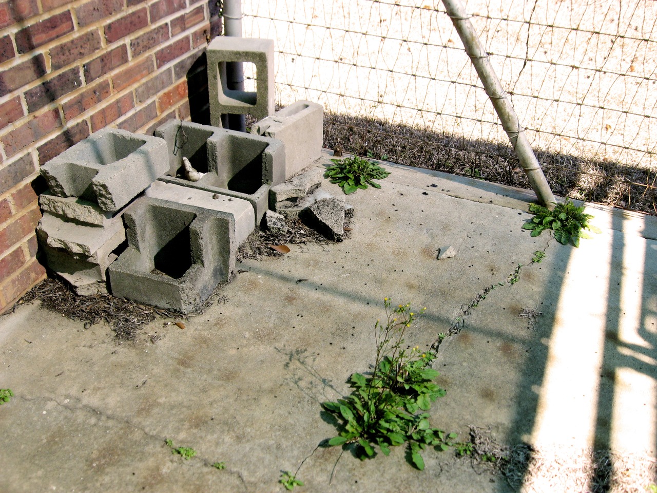Cinder blocks in a pile in the outdoor kennel area of the Dog Hospital (1929) at Pebble Hill Plantation.