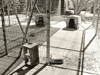 Cinder block and two dog crates in the outdoor kennel area of the Dog Hospital (1929) at Pebble Hill Plantation.