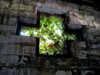 Small window in the brick side building in the Family Cemetery addition (1932) at Pebble Hill Plantation.