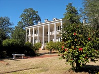 Gardens in front of the main house (1936) at Pebble Hill Plantation.
