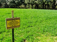 'Electric Fence' sign along the Stable Complex (1928) horse paddock at Pebble Hill Plantation.