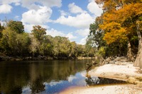 Fall foliage along the river from the boat ramp at Suwannee River State Park.