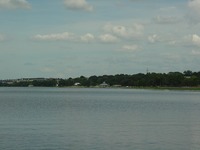 Lake Minneola from the boardwalk.